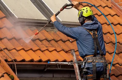 Démoussage et hydrofuge de toiture à Morestel